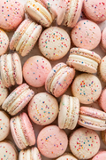 Macarons 12-Pack